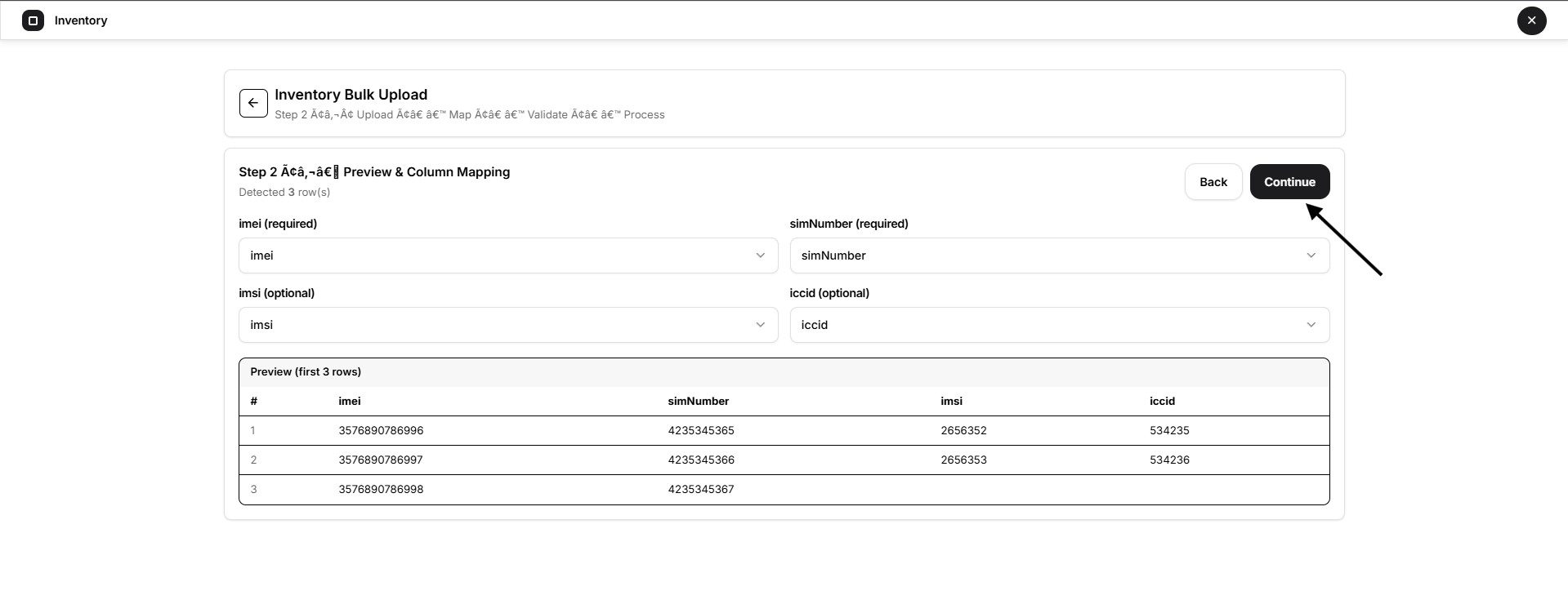 preview and column mapping