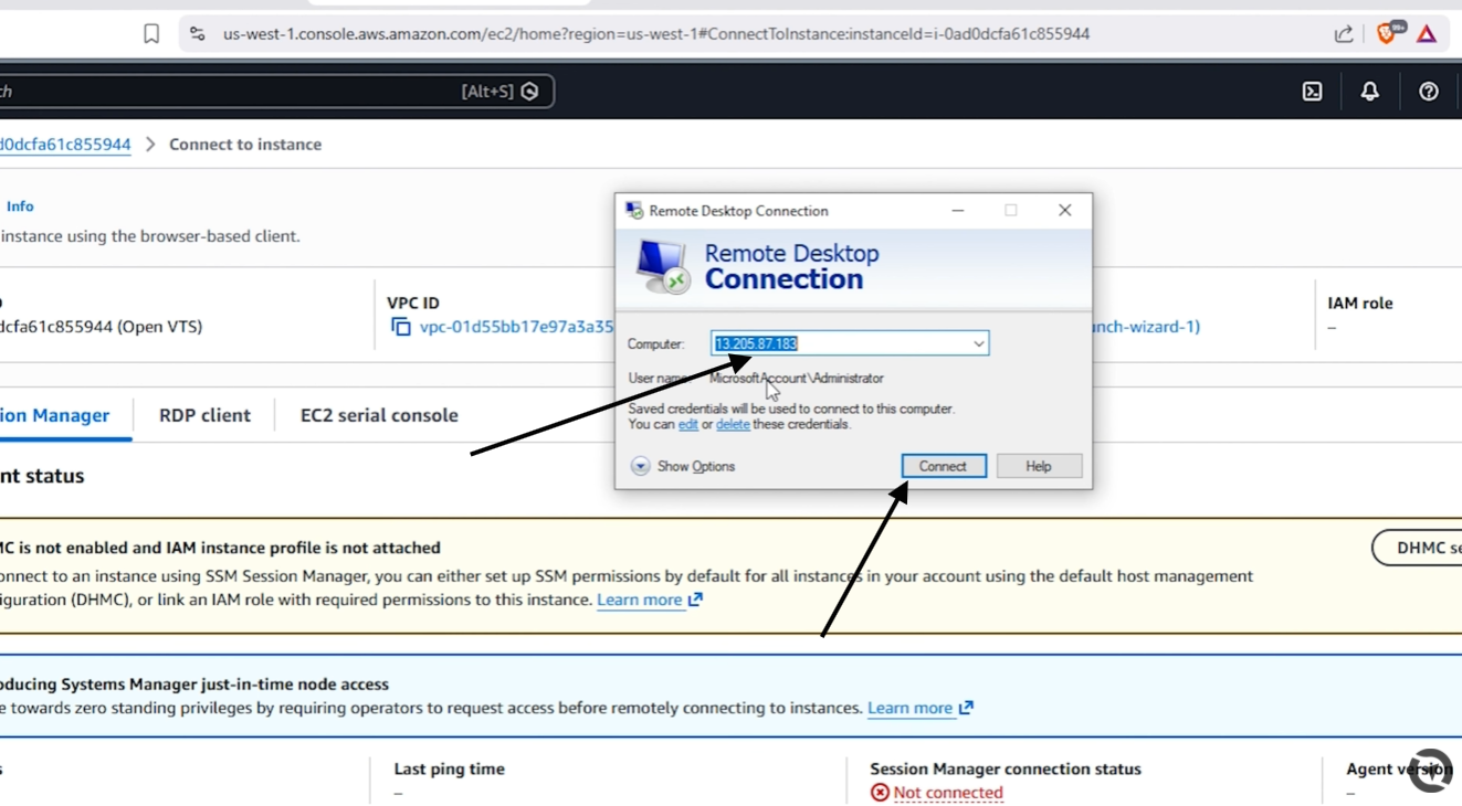 paste public ip and connect
