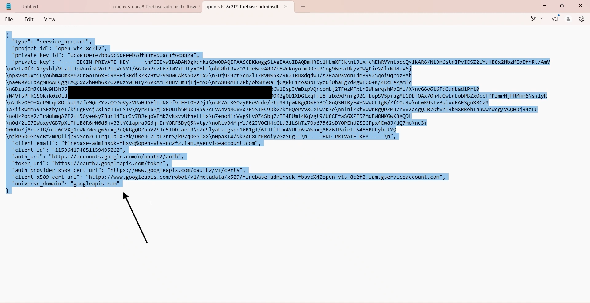 copythe jsoncode